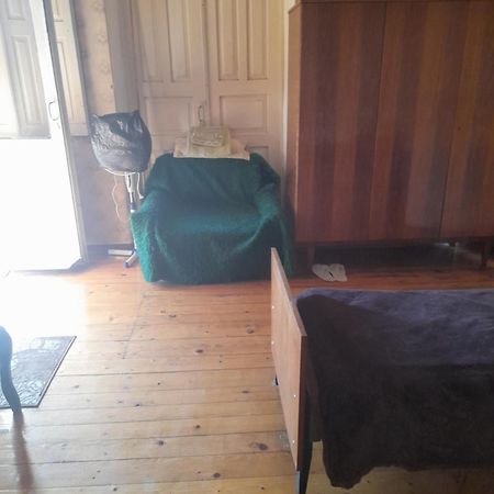 Levani'S Guesthouse Zugdidi Ngoại thất bức ảnh